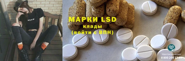 гидропоника Гусиноозёрск