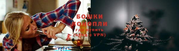 прущие крисы Дмитриев