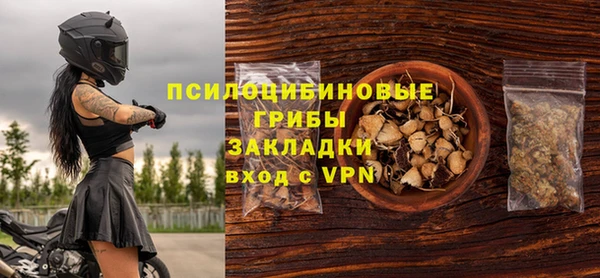гидропоника Гусиноозёрск