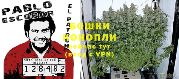 прущие крисы Дмитриев