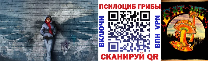 купить наркотики цена  Новомосковск  кракен зеркало  Галлюциногенные грибы Magic Shrooms 
